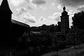 L1001189 - Bernhard Saalfeld
