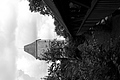 L1001192 - Bernhard Saalfeld