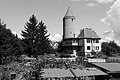 L1001196 - Bernhard Saalfeld