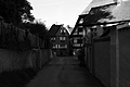 L1001209 - Bernhard Saalfeld