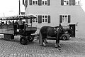 L1001211 - Bernhard Saalfeld