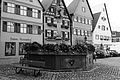 L1001217 - Bernhard Saalfeld