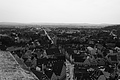 L1001224 - Bernhard Saalfeld