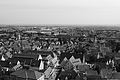 L1001228 - Bernhard Saalfeld