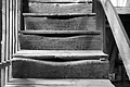 L1001232 - Bernhard Saalfeld