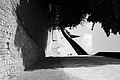 L1001244 - Bernhard Saalfeld