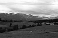 L1001252 - Bernhard Saalfeld