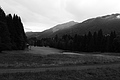 L1001255 - Bernhard Saalfeld