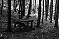 L1001262 - Bernhard Saalfeld