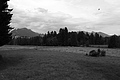 L1001263 - Bernhard Saalfeld