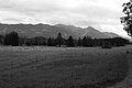 L1001264 - Bernhard Saalfeld