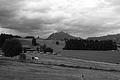 L1001266 - Bernhard Saalfeld