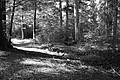 L1001275 - Bernhard Saalfeld