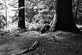 L1001276 - Bernhard Saalfeld