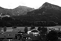 L1001289 - Bernhard Saalfeld