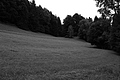 L1001296 - Bernhard Saalfeld
