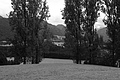 L1001299 - Bernhard Saalfeld