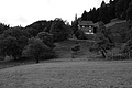 L1001301 - Bernhard Saalfeld