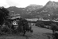 L1001303 - Bernhard Saalfeld