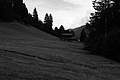 L1001307 - Bernhard Saalfeld