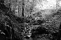 L1001308 - Bernhard Saalfeld