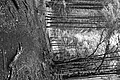 L1001312 - Bernhard Saalfeld