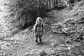 L1001320 - Bernhard Saalfeld