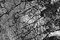 L1001322 - Bernhard Saalfeld