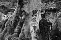 L1001325 - Bernhard Saalfeld