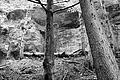 L1001337 - Bernhard Saalfeld