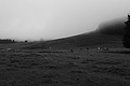 L1001350 - Bernhard Saalfeld