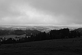 L1001353 - Bernhard Saalfeld
