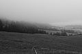 L1001355 - Bernhard Saalfeld