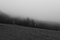 L1001356 - Bernhard Saalfeld
