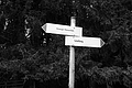 L1001357 - Bernhard Saalfeld