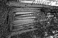 L1001359 - Bernhard Saalfeld