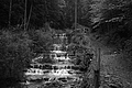 L1001372 - Bernhard Saalfeld