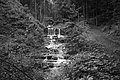 L1001374 - Bernhard Saalfeld