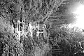 L1001375 - Bernhard Saalfeld