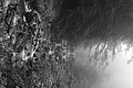 L1001380 - Bernhard Saalfeld