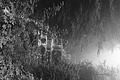 L1001381 - Bernhard Saalfeld