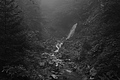 L1001382 - Bernhard Saalfeld