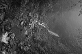 L1001383 - Bernhard Saalfeld