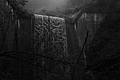 L1001388 - Bernhard Saalfeld