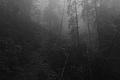 L1001393 - Bernhard Saalfeld