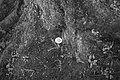 L1001396 - Bernhard Saalfeld