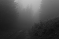 L1001397 - Bernhard Saalfeld