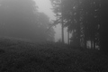 L1001398 - Bernhard Saalfeld