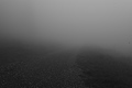 L1001401 - Bernhard Saalfeld