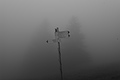 L1001402 - Bernhard Saalfeld